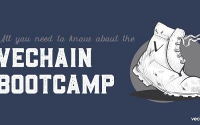 All you need to know about VeChain’s Bootcamp series