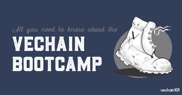 Vechain Bootcamp Recap