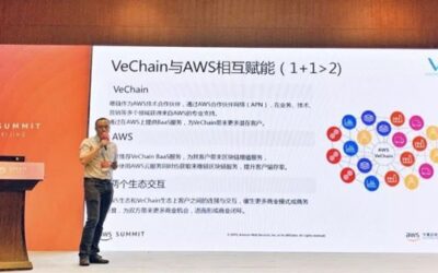 Is VeChain the AWS of Blockchain?